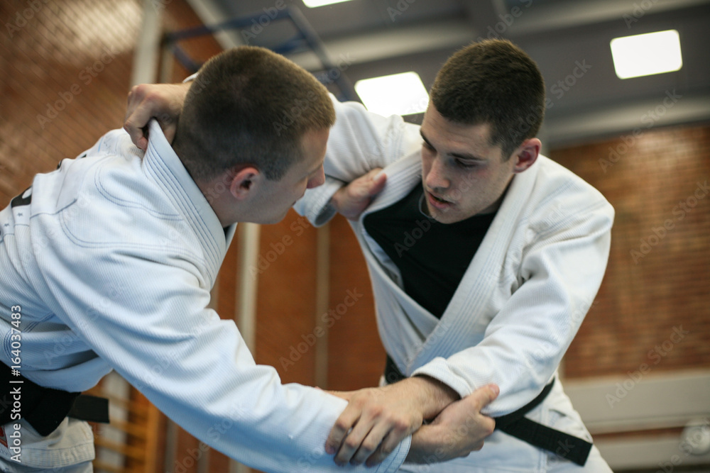 Obraz premium Two young males practicing judo together.