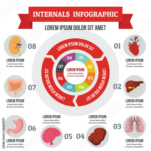 Internals infographic concept, flat style