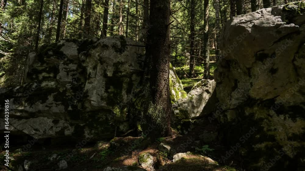 Dolly motion camera through a green summer forest with sunlight rays. Ceahlau Mountains, Romania. 4k timelapse. Dolly motion camera through a green summer forest with sunlight rays. Ceahlau Mountains, Romania. 4k timelapse.
