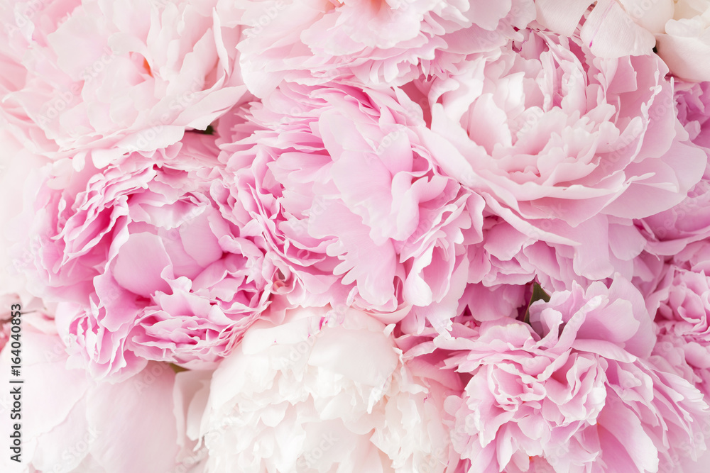 Light Pink Flower Wallpaper At Douglas Tijerina Blog Light Pink Flower Wallpaper At Douglas Tijerina Blog