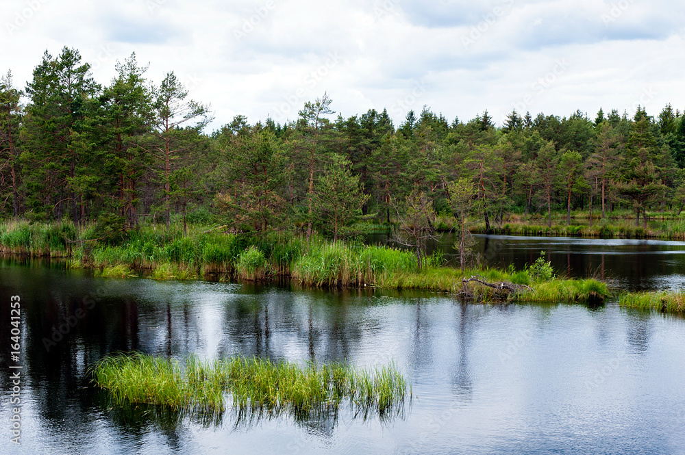 Marshland and water