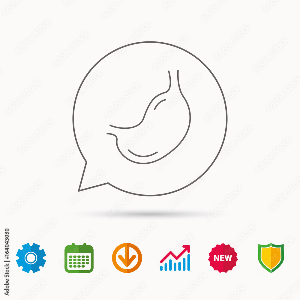 Fototapeta premium Stomach icon. Gastroscopy health sign. Anatomical body organ symbol. Calendar, Graph chart and Cogwheel signs. Download and Shield web icons. Vector