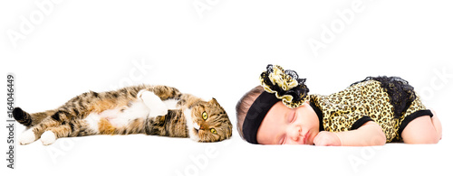 Portrait of cute sleeping newborn girl and cat Scottish Fold, isolated on white background