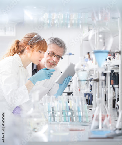 Health care researchers working in life scientific laboratory. Young female research scientist and senior male supervisor looking focused at tablet computer screen evaluating and analyzing study data. photo