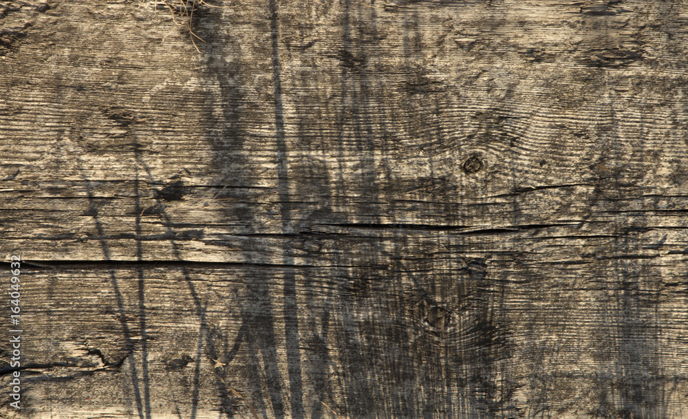 Fototapeta premium Old board. Wood texture.