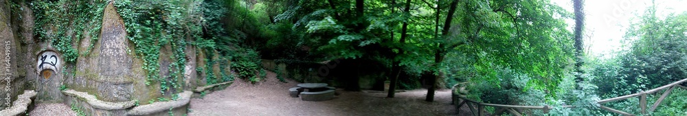 Panorama en el Bosque
