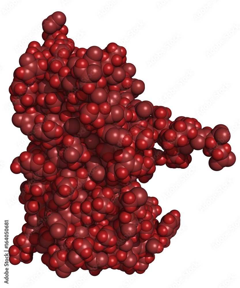 Human interferon-2a (Roferon-A). Interferons are proteins released by cells in presence of pathogens, often used in cancer and antiviral therapy. Human interferon-2a (Roferon-A). Interferons are proteins released by cells in presence of pathogens, often used in cancer and antiviral therapy.