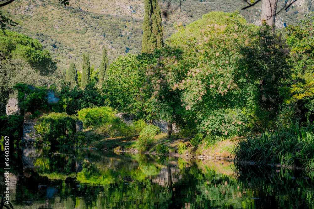 La bellezza della natura: alberi, piante e acqua nel giardino di ninfa La bellezza della natura: alberi, piante e acqua nel giardino di ninfa