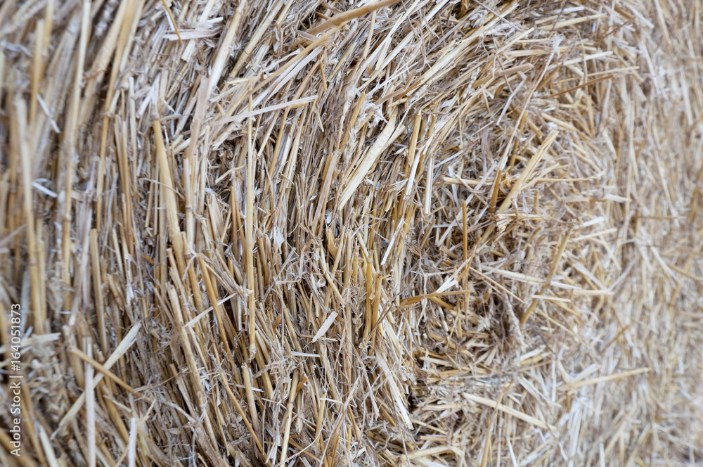 bundle of beveled straw close up texture bundle of beveled straw close up texture