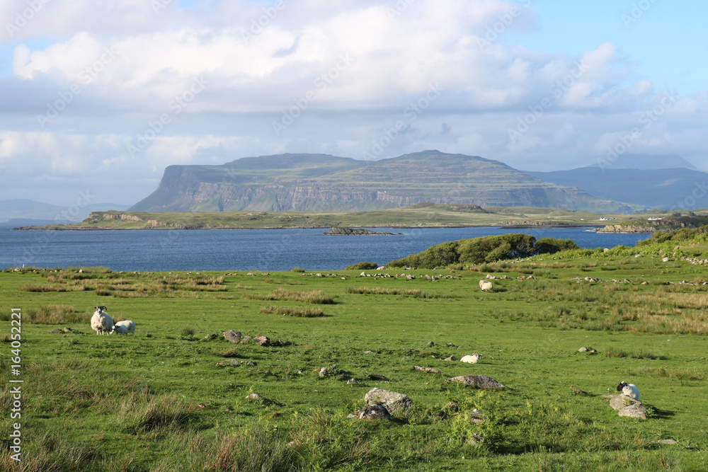 Landschaft der Isle of Mull