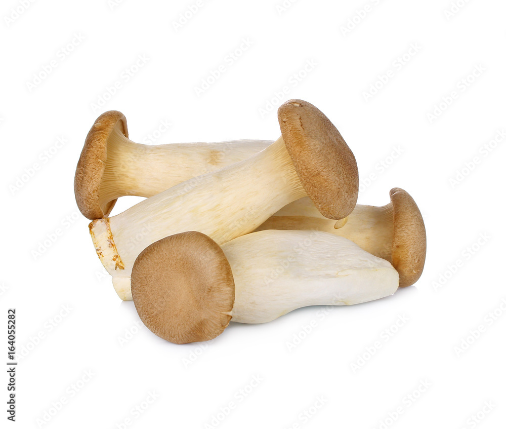 King Oyster mushroom (Eringi) isolated on white background. King Oyster mushroom (Eringi) isolated on white background.