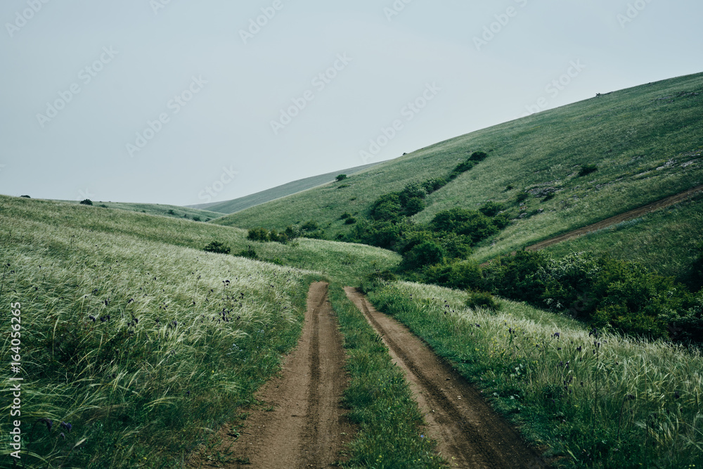 Meadows, fields, mountains, grass, trees, sky, summer Meadows, fields, mountains, grass, trees, sky, summer