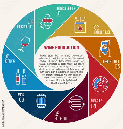 Thin line infographic of wine fermentation. Circle diagram with eight equal parts that shows how wine is made and created, winemaker tool set. Production of alcoholic beverages. Vector illustration.