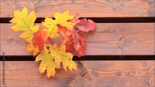 autumn backgeround, leaves on brown wooden wall
 photo