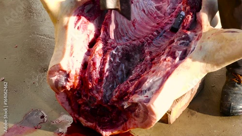 Fleecer in dirty boots in the yard chops pork spine using the heavy axe. He freshens a pig right in the open air. Inside the carcass of an animal lies a knife