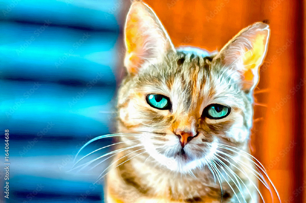 Obraz Cyfrowy obraz małego kota alarmowego