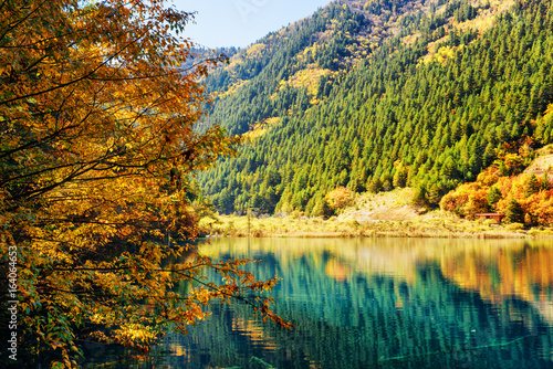 Fototapeta Naklejka Na Ścianę i Meble -  Beautiful lake among colorful fall woods and mountains