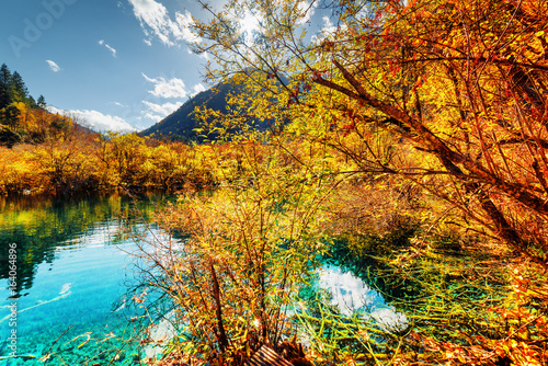 Amazing pond with azure crystal clear water among fall woods