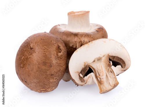 Mushroom champignon isolated on white background