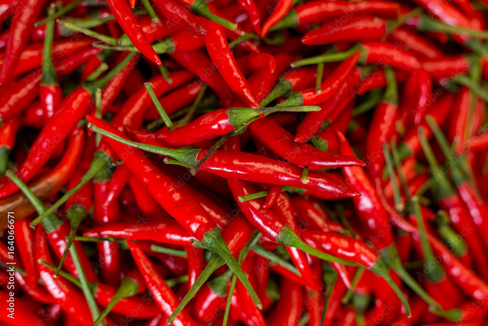 Pile of fresh red chilli peppers Pile of fresh red chilli peppers