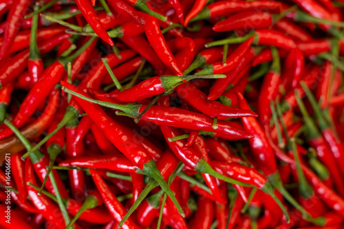 Pile of fresh red chilli peppers