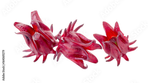 Roselle Hibiscus sabdariffa red fruit flower on white background photo