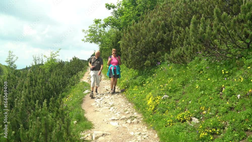 4k travel video, healthy fit happy active senior couple hiking on path in austrian alps between beautiful mountain meadow and pines on sunny summer vacation day
4k travel video, healthy fit happy active senior couple hiking on path in austrian alps between beautiful mountain meadow and pines on sunny summer vacation day