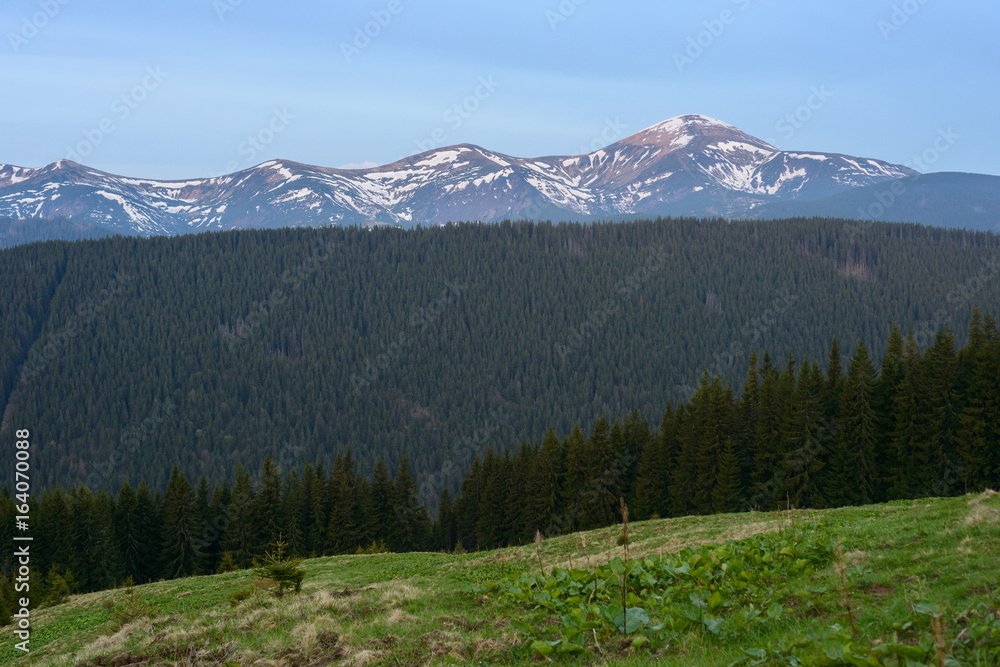 Spring mountain landscape. In the background snow-capped mountains.
