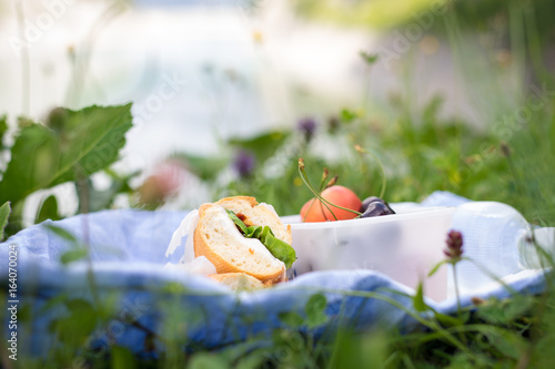 Sandwiches, fruits and a bottle of water in the grass. Selective focus © inats