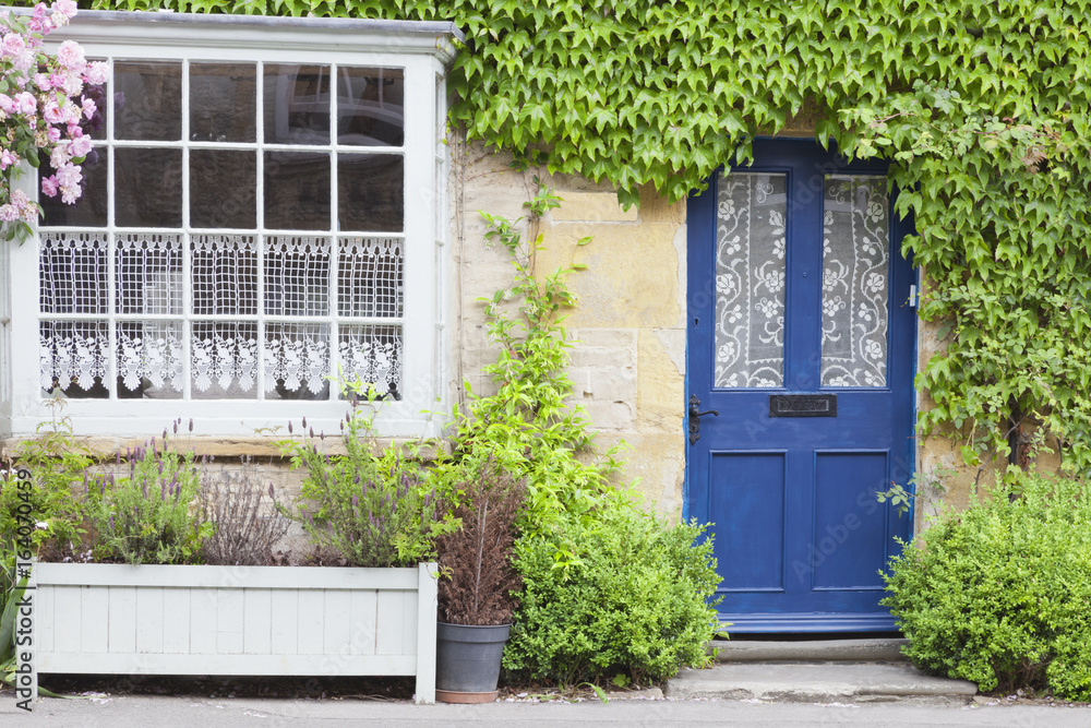 Dark blue doors in an old traditional English golden stone cottage surrounded by pink rose, climbing ivy, and hedge plants . Dark blue doors in an old traditional English golden stone cottage surrounded by pink rose, climbing ivy, and hedge plants .
