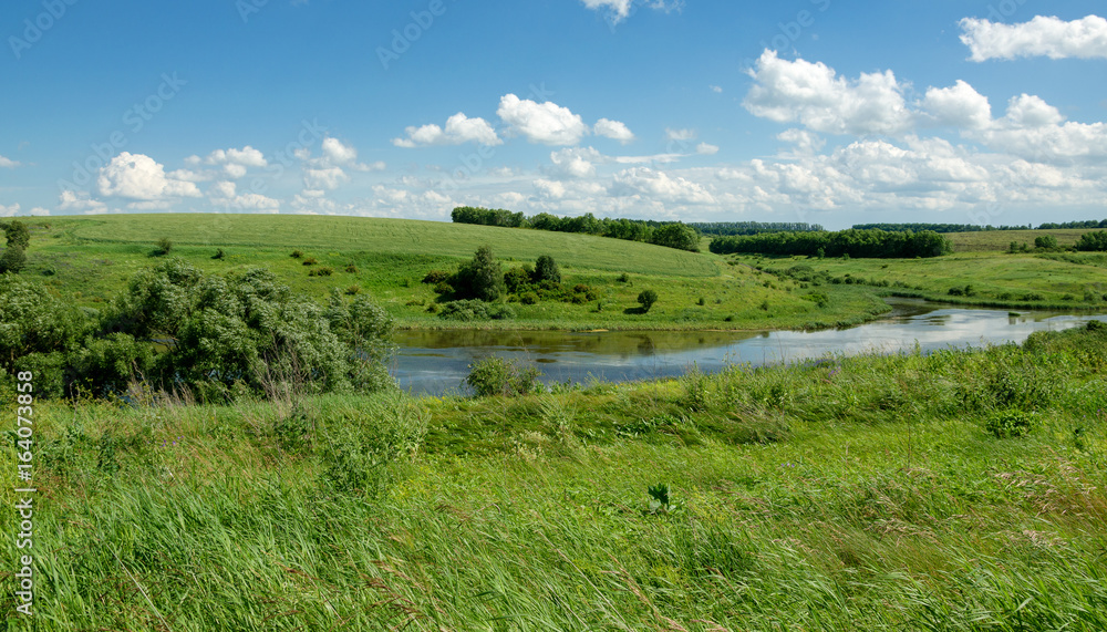 Sunny summer scene with small river 