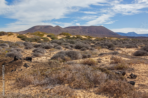 Picturesque desert landscape of Graciosa volcanic island with sparse vegetation   Lanzarote  Canary Islands  Spain