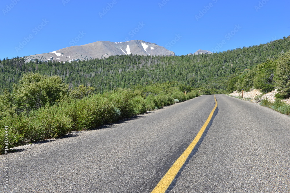 Fototapeta premium The Great Basin National park in Nevada. 