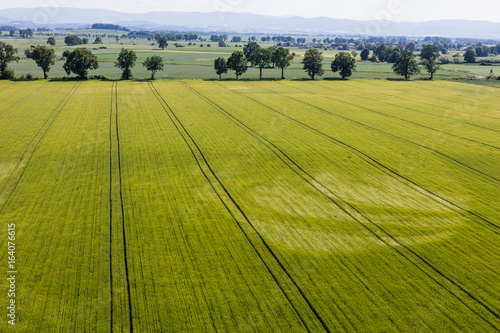 aerial view of the harvest fields