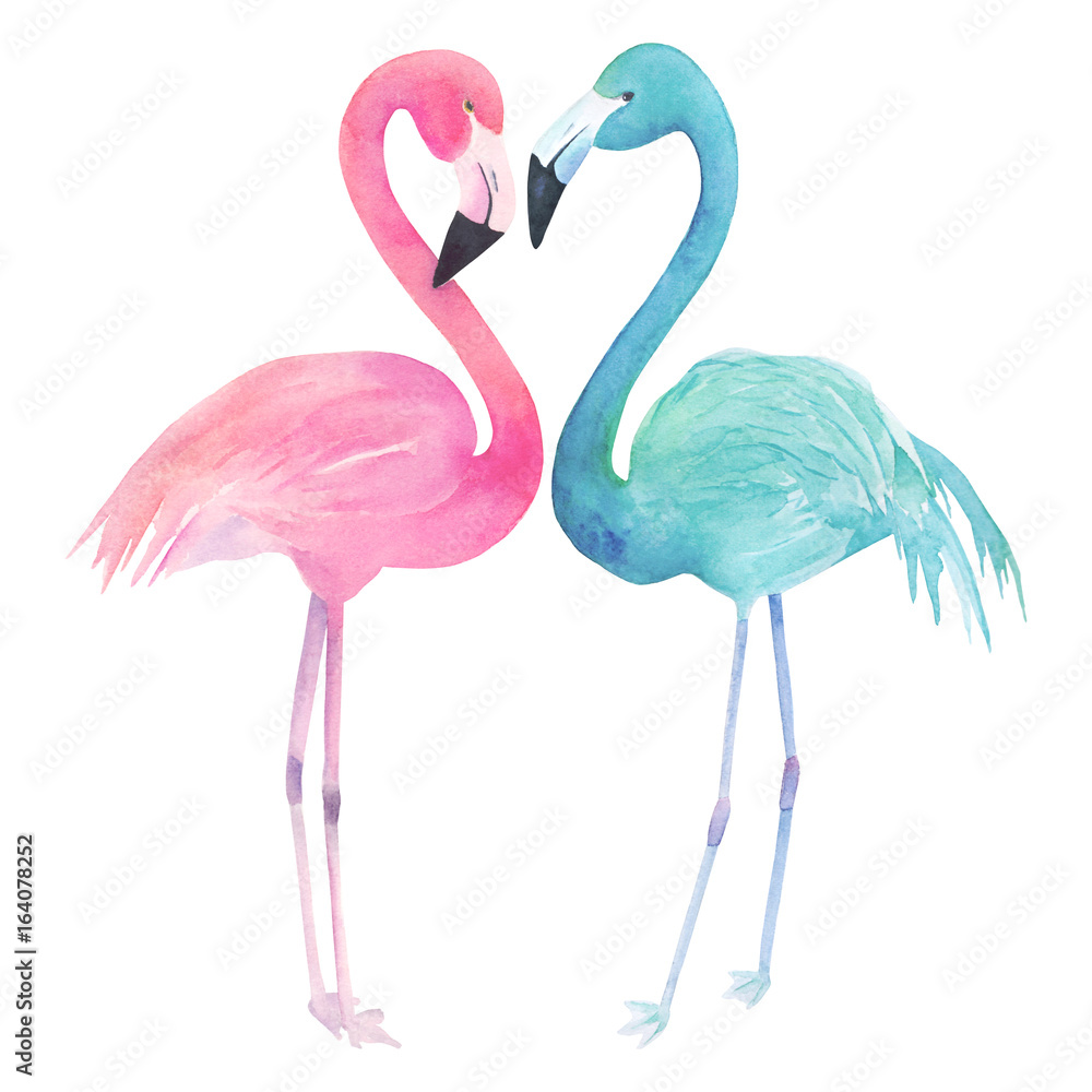 Fototapeta premium Akwarela dwa flamingi na białym tle. Ręcznie rysowane ilustracja