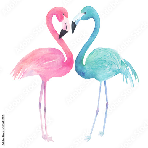 Watercolor two flamingos on white background. Hand drawn illustration