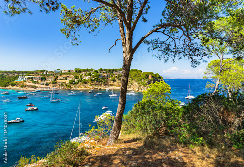 Mediterranean Sea coast, beautiful bay with boats in Portals Vells, Spain Majorca, Balearic Islands