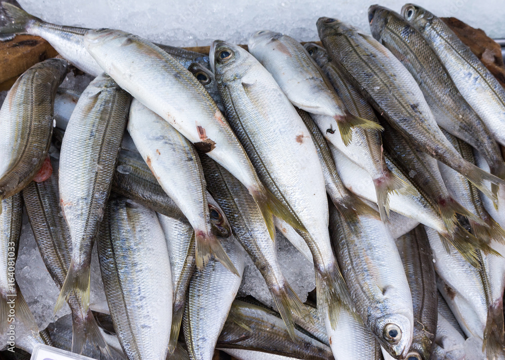fresh catch of seabream on mediterranean market fresh catch of seabream on mediterranean market