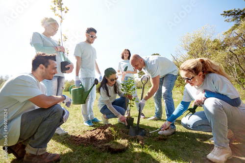 Behang group of volunteers planting tree in park