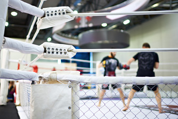 Ingelijste posters Vechtsport Training mixed martial arts vechters  © Sergey Ryzhov