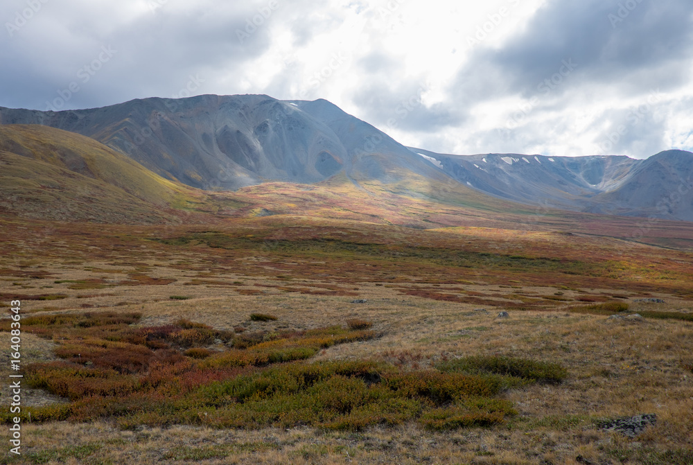 Mountain landscape in the Republic of Altai.