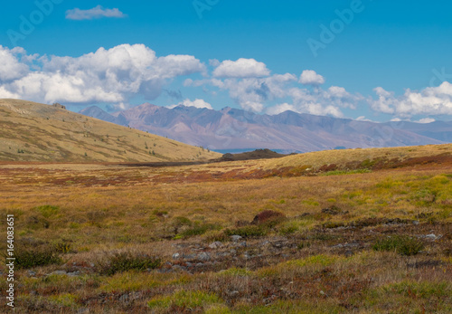 Mountain landscape in the Republic of Altai. © fifg