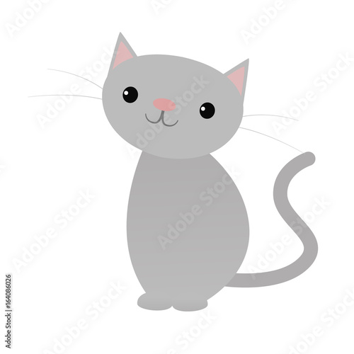 Sitting cute grey cat