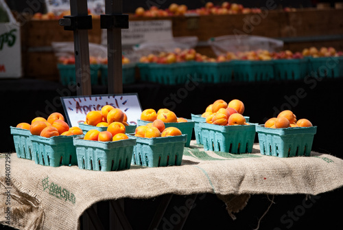 Fresh apricots in the sunshine for sale at local farmers market photo