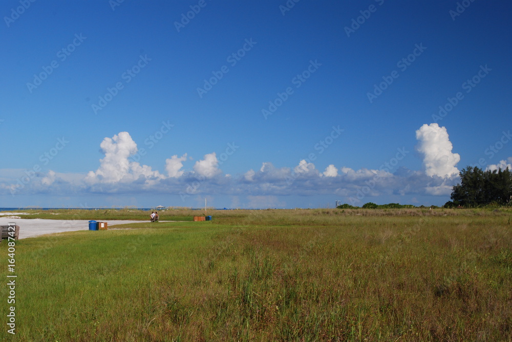 Obraz premium Grassy beach