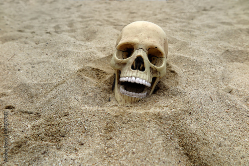 Skeleton remains buried in the sand