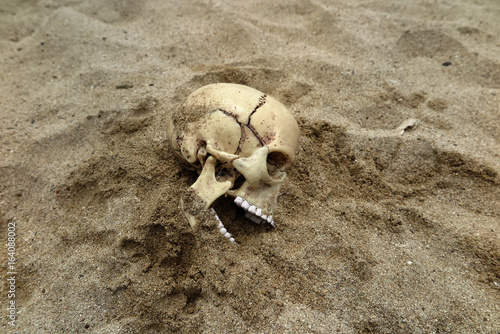 Skeleton remains buried in the sand