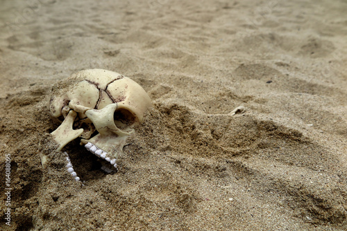 Skeleton remains buried in the sand
