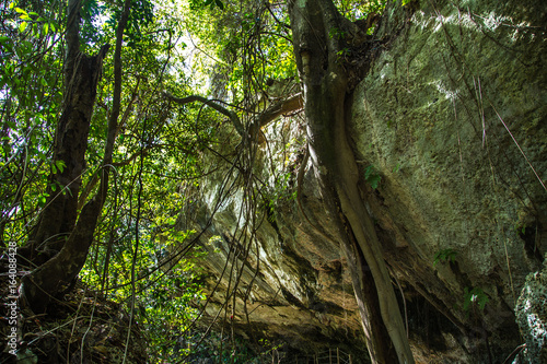 CENOTE TRES REYES 5