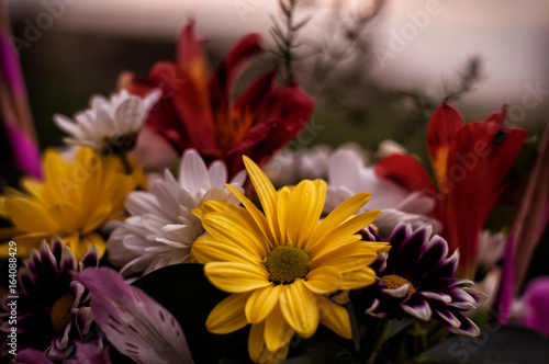 Chrysanthemum bouquet